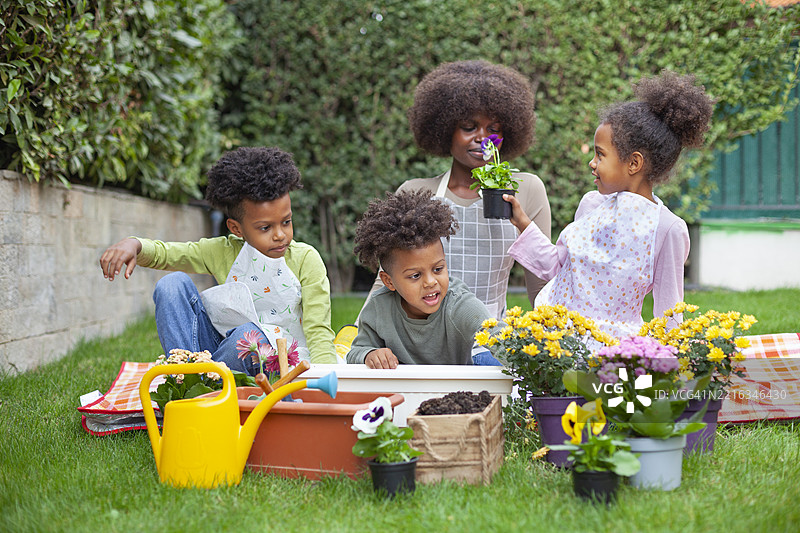 春天的日子里，快乐的家庭在后院园艺图片素材