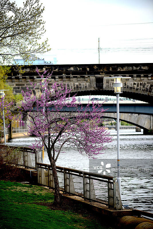 舒克尔河图片素材