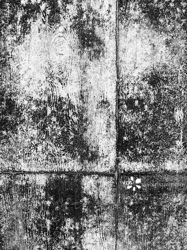 混凝土墙上的木纹和白色涂料。粗糙的纹理。自然的风化。阳光。木纹是由于在建造这面墙时使用的木板模板造成的。图片素材