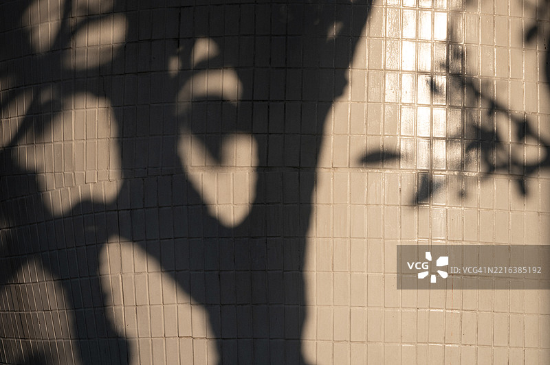 树的影子投射在棕色瓷砖墙上图片素材