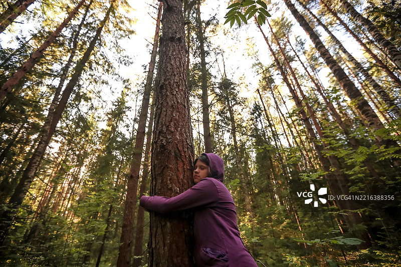 在森林中散步：一个青少年拥抱一棵树以与自然连接图片素材