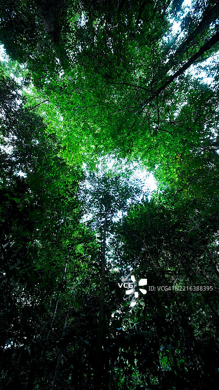 麦里芝蓄水池步道散步图片素材