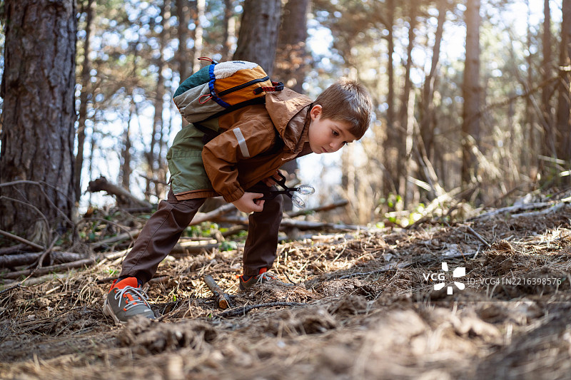 一个男孩在森林中探险，沿途发现并学习自然知识。图片素材