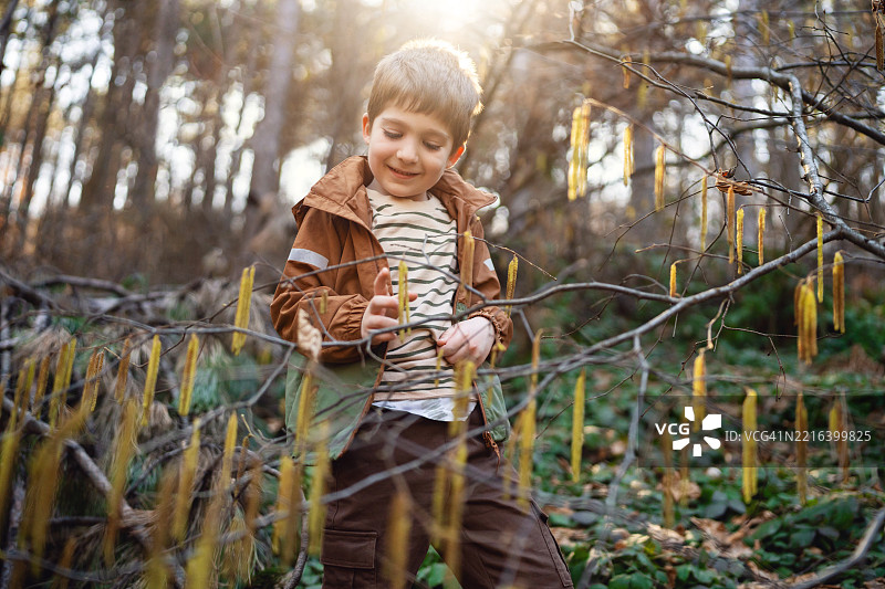 一个小男孩在森林中探索大自然。图片素材