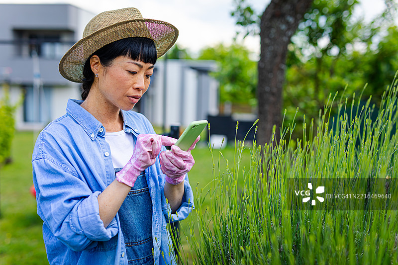 日本女性用手机拍摄她的花朵图片素材