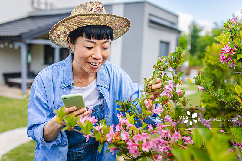 日本女性用手机检查她的花朵图片素材