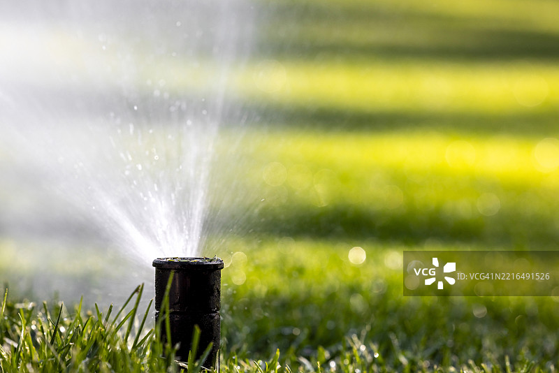 阳光明媚的夏日，喷头洒水器在草坪上浇水的特写镜头图片素材