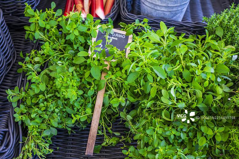 新鲜牛至，市场摊位，图尔库市场广场图片素材