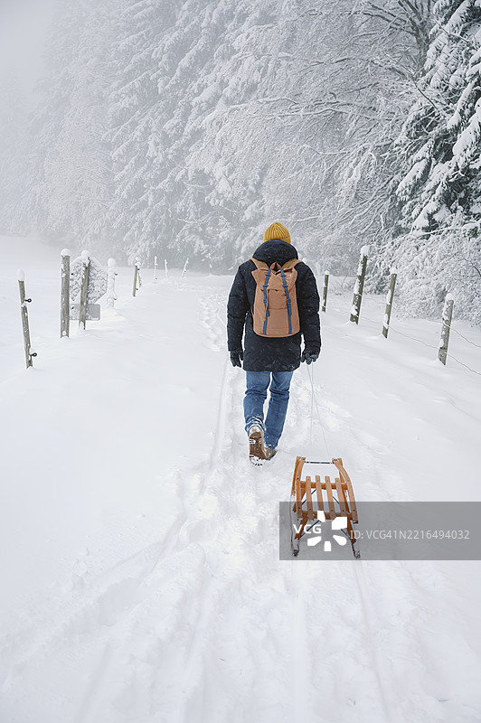 成熟男子在雪-covered森林小径上推着雪橇行走图片素材