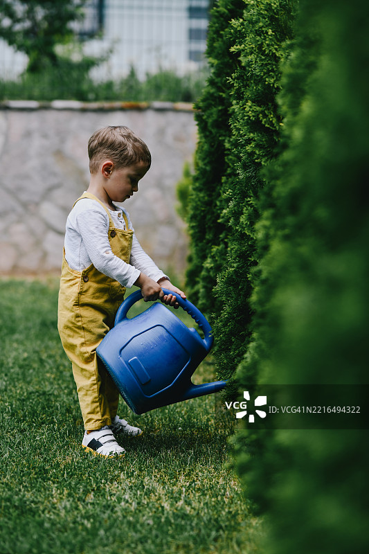 快乐的幼儿专注地将水从水壶倒在花园灌木上图片素材