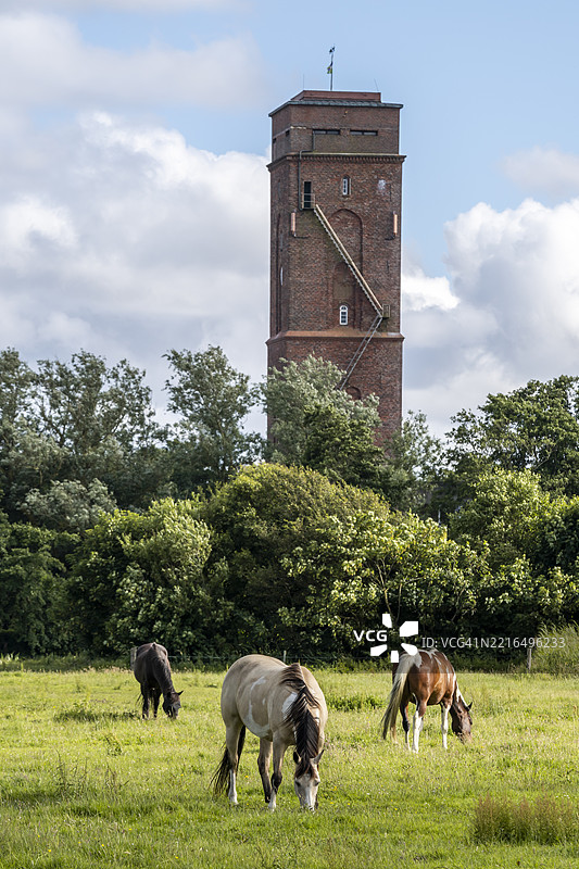 下萨克森州博尔库姆岛上的古老灯塔，绿草如茵的草地上有吃草的马匹图片素材