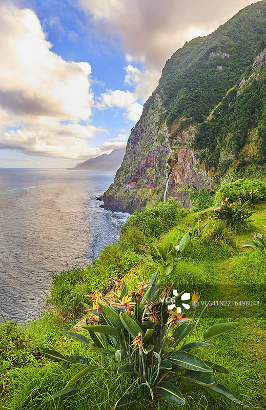 葡萄牙马德拉塞克沙尔的悬崖、瀑布和天堂鸟花的风景海岸线图片素材