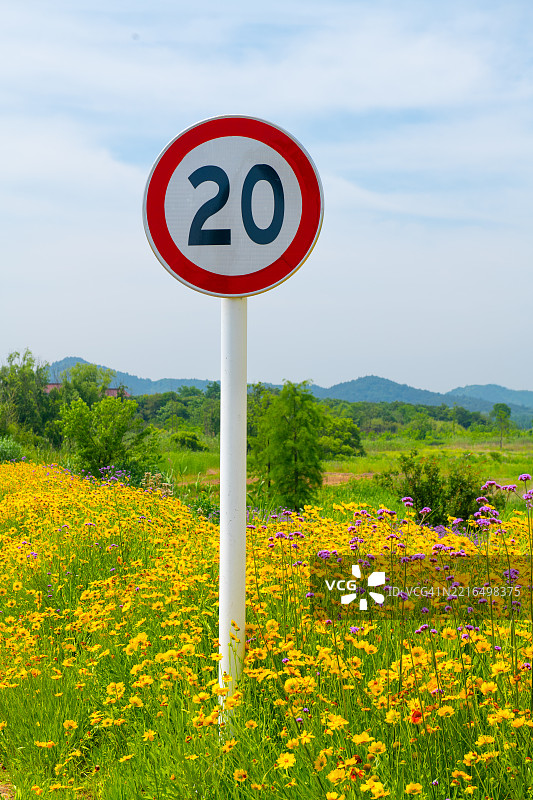 一块限速20公里的交通警告标志矗立在路边的花丛中。图片素材