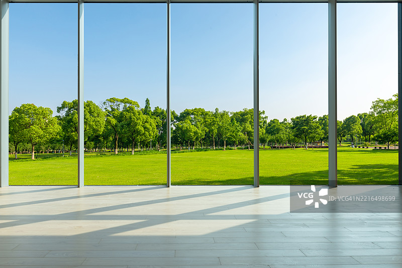 透过玻璃窗，晴朗的天空，城市公园旁边树林边的草地，树影映在草地上图片素材