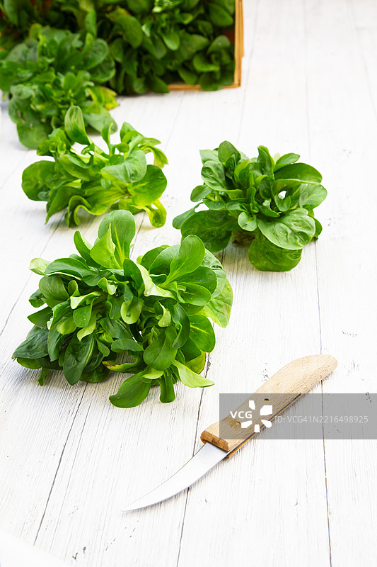 新鲜采摘的羊角菜放在篮子里，旁边有一把厨房刀。图片素材