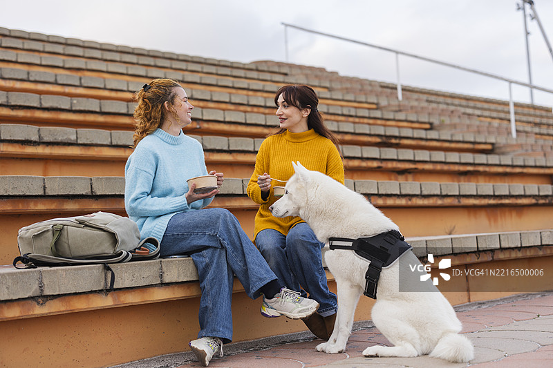 两位女性坐在户外台阶上，和一只哈士奇狗愉快地交谈。图片素材