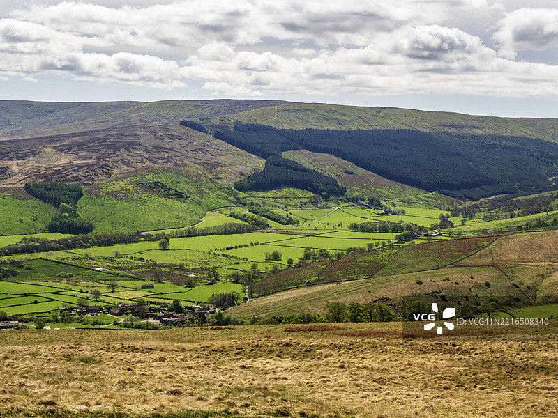 约克郡山谷的温斯利代尔附近，塞默水上方的针叶树种植园。图片素材