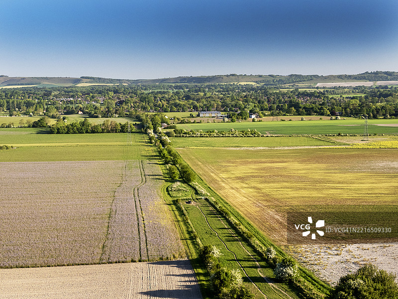 英国威尔特郡佩尔西的丘陵风景。图片素材