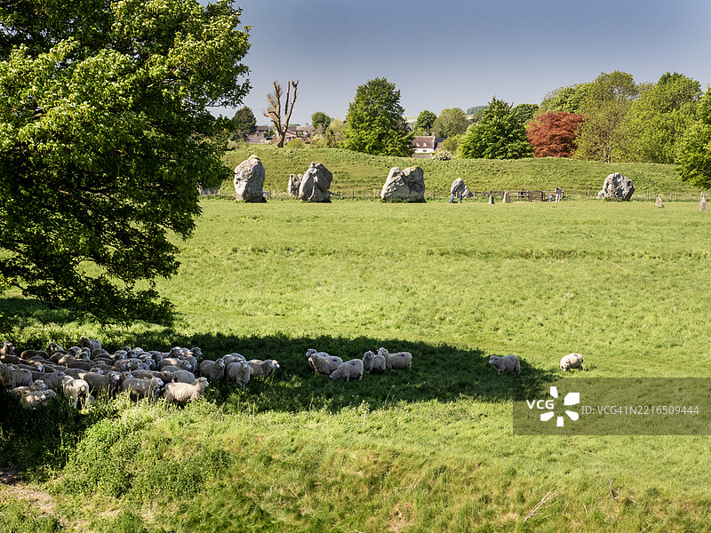 艾夫伯里巨石阵和石圈是世界上最大的史前石圈，位于英国威尔特郡的艾夫伯里，羊群在阴凉处避暑。图片素材
