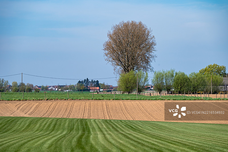 弗拉芒乡村埃尔弗丁赫的绿色草地和新鲜的农业田野，伊珀尔，西弗拉芒图片素材