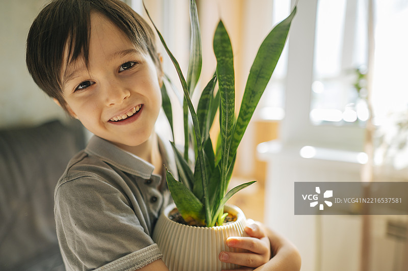 微笑的男孩在家中白天抱着一盆室内植物图片素材