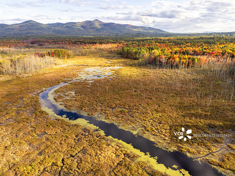 新罕布什尔州的海狸池塘和巢穴的鸟瞰图，周围环绕着绚丽的秋季树叶图片素材