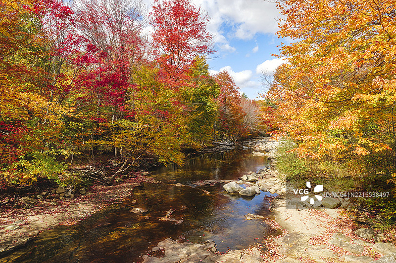 新罕布什尔州白山国家森林的迷人秋叶图片素材