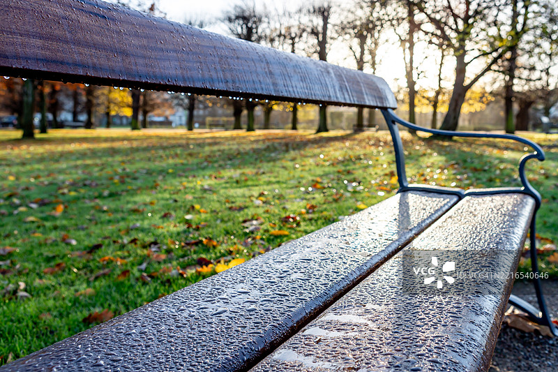 公共公园里的湿长椅图片素材