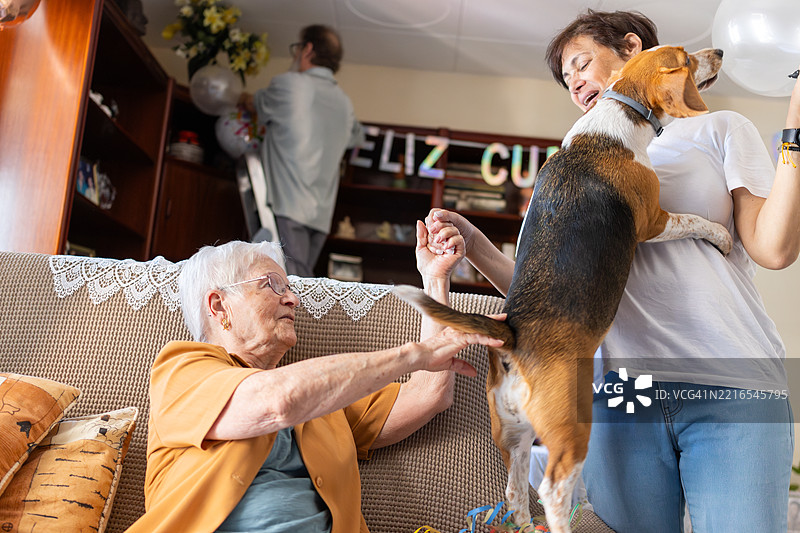 一家人和他们的狗一起庆祝老年女性的生日图片素材