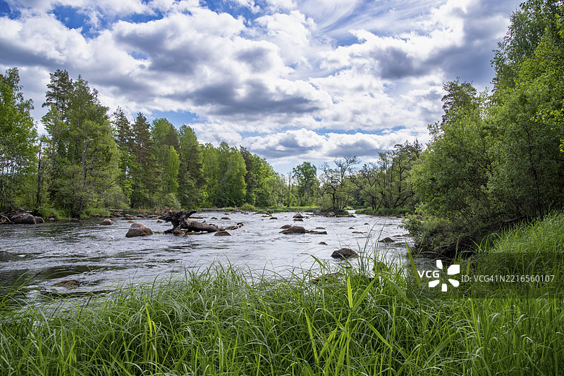 瑞典弗利塞里德市附近的埃曼河自然风光，夏季景色图片素材
