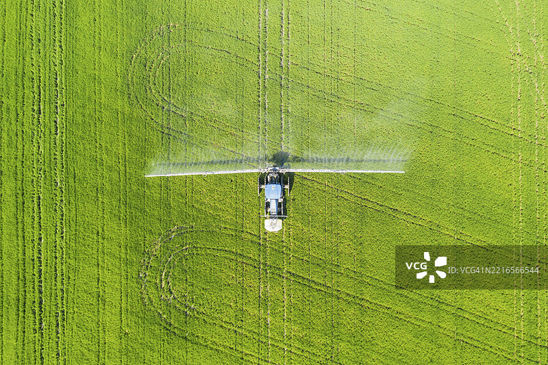 拖拉机在稻田(稻米)上喷洒杀真菌剂,七月,鸟瞰图,无人机拍摄,埃布罗三角洲自然保护区,塔拉戈纳省,加泰罗尼亚,西班牙,欧洲图片素材