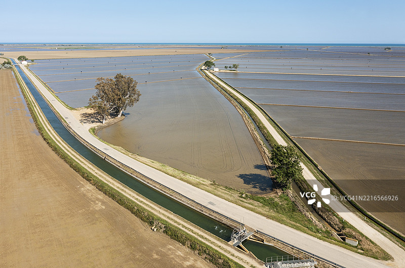 五月的淹水稻田，干燥的地块正在试验性种植旱稻，鸟瞰图，航拍，埃布罗三角洲自然保护区，塔拉戈纳省，加泰罗尼亚，西班牙，欧洲图片素材