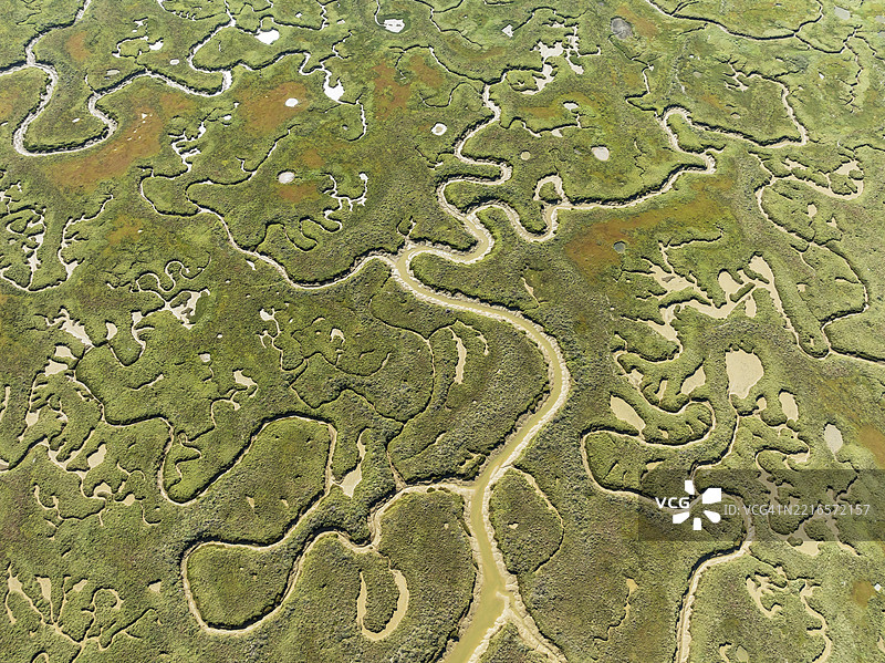 低潮时的河流和小溪网络。位于皮埃德拉斯河的沼泽地。鸟瞰图。无人机拍摄。西班牙安达卢西亚省乌埃尔瓦。图片素材