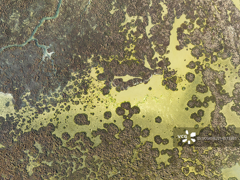 低潮时的沼泽地。拉布雷尼亚与巴尔巴特湿地自然保护区。鸟瞰图。无人机拍摄。西班牙安达卢西亚省卡迪斯。图片素材