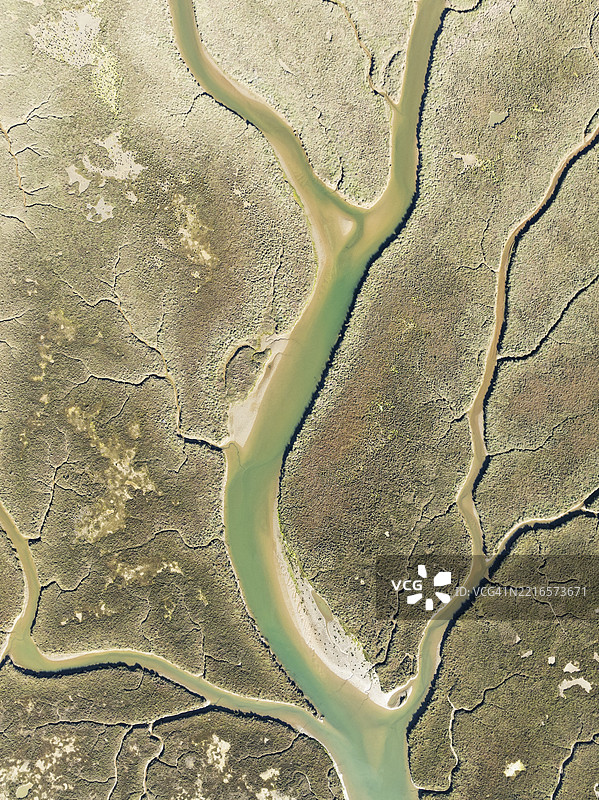 在西班牙安达卢西亚省韦尔瓦的伊斯拉卡内拉，低潮时的圣布鲁诺湿地的河流和小溪网络。航拍视角。图片素材