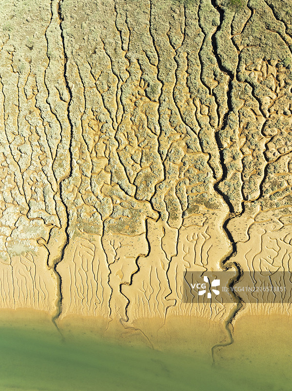 低潮时的河道和小溪网络。位于奥迪尔河旁的沼泽地。鸟瞰图。无人机拍摄。西班牙安达卢西亚省乌埃尔瓦。图片素材