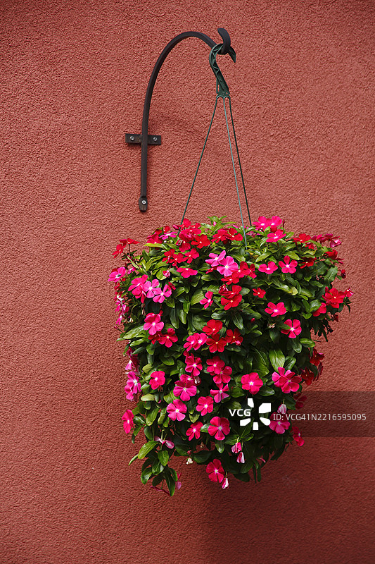 五彩缤纷的红花图片素材