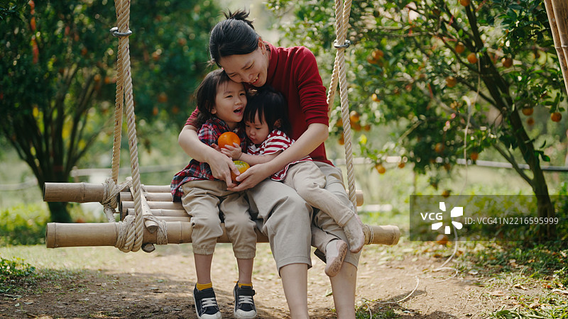 一户年轻的橙农家庭正在采摘橙子。图片素材