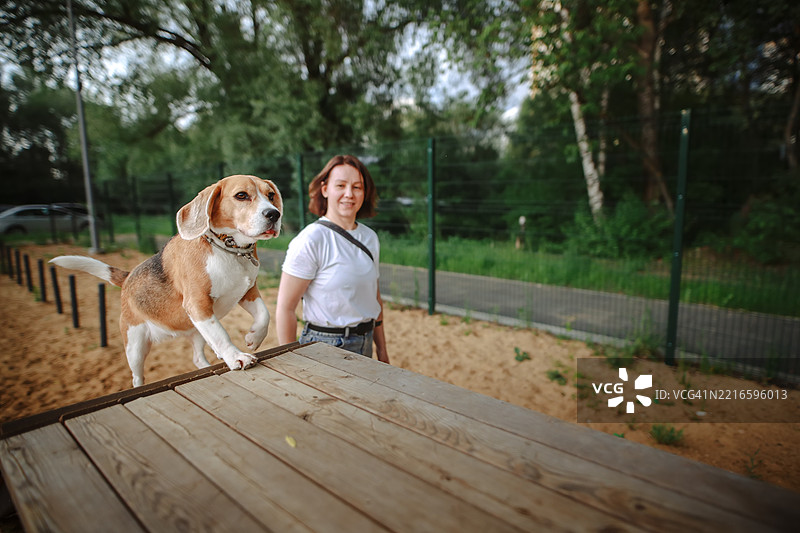 一位专注的女性穿着T恤，在一个围起来的狗公园里训练她的比格犬，享受着夏日阳光，增进彼此的感情。图片素材
