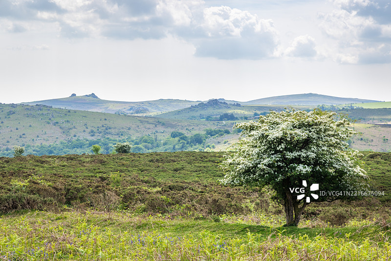 哈伊托尔和猎犬岩的景观，达特穆尔国家公园图片素材