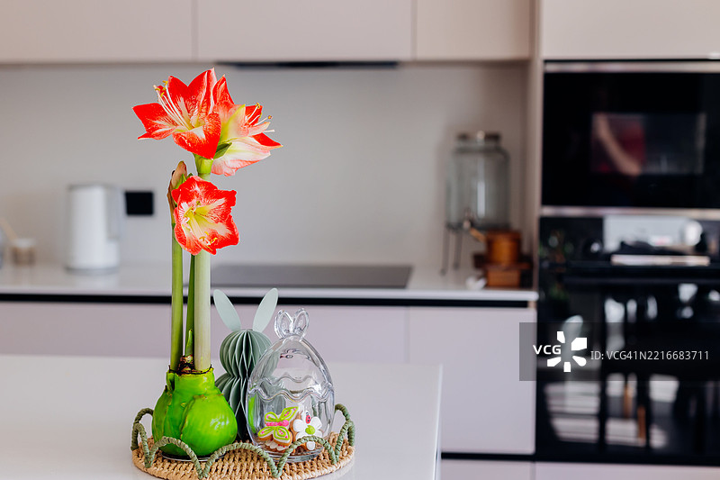 现代厨房中充满活力的朱顶红展示与复活节装饰图片素材