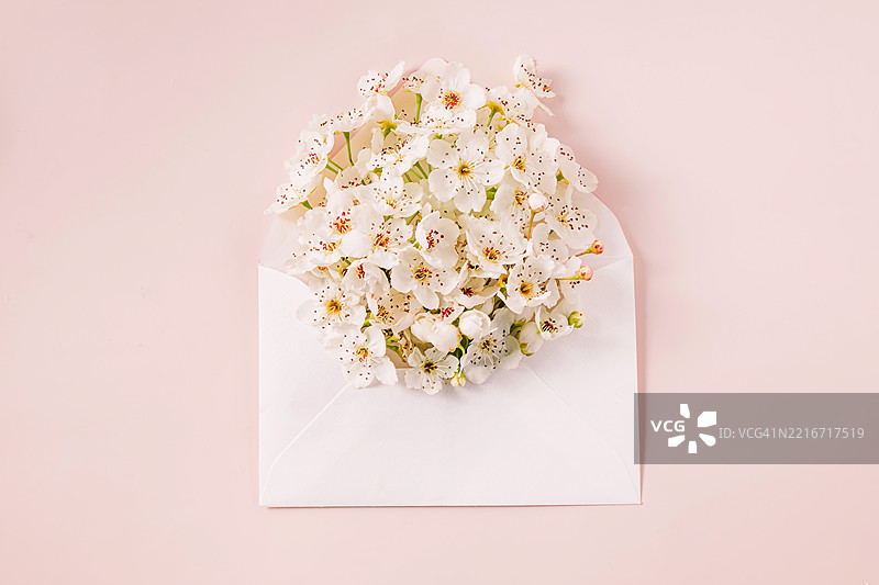 一束白色花朵放在白色信封里，置于柔和的粉色表面上，加利福尼亚州，美国图片素材