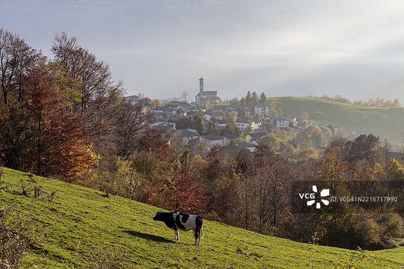 树木和建筑物在天空下的景观图片素材
