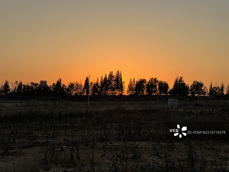 日落时分，净沃特，南区，以色列，田野上的树木剪影与晴朗的天空相映成趣。图片素材