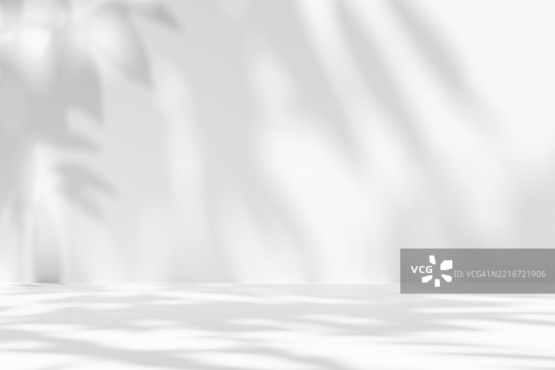 3D 空旷的极简白色单色室内，墙壁和地板上投射着叶子的阴影。优雅的阳光覆盖，适用于生态、健康、有机或植物主题、设计、自然灵感概念。图片素材