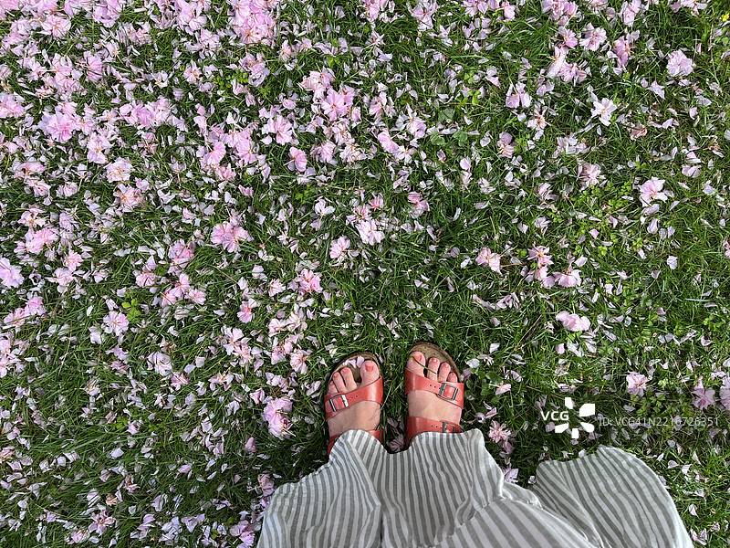 红色凉鞋和粉色樱花散落在草坪上图片素材
