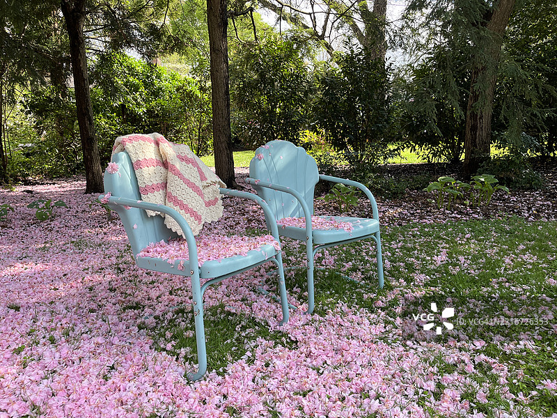 春天的花园里，蓝色复古金属椅子在粉色樱花树下。草地和椅子上散落着一堆堆粉色花瓣。图片素材