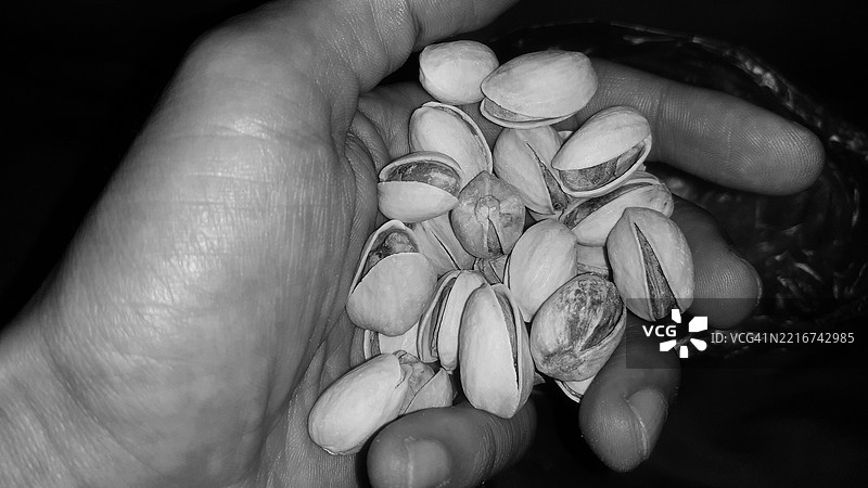 手握海螺的特写镜头图片素材