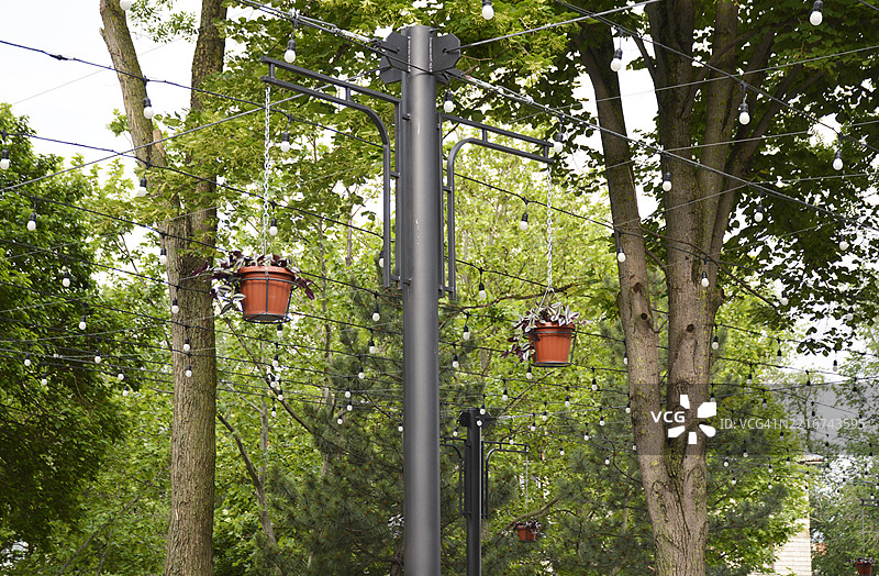 秋季公园中悬挂着花卉的花盆图片素材