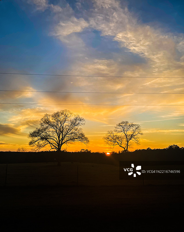 日落时分，乔治亚州福特谷的天空下，田野上的光秃树木剪影图片素材